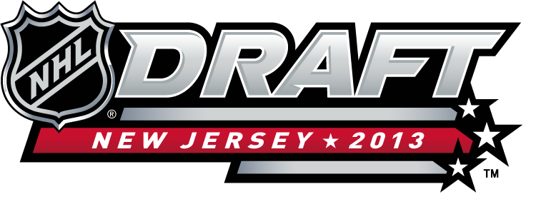 NHL Draft 2013 Alternate Logo iron on transfers for clothing